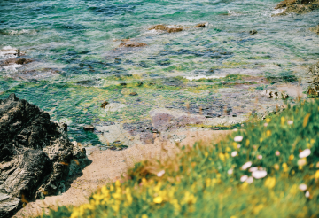 Mousehole to Paul (2).png