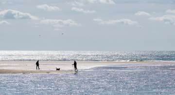south devon beaches main image.png