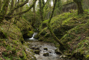 Lydford Gorge (2).png