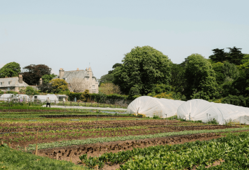 Harbour House (2).png