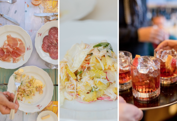 The seahorse (2).png