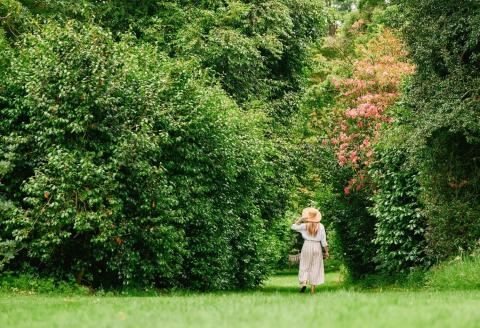 Stroll in the sunshine.jpg