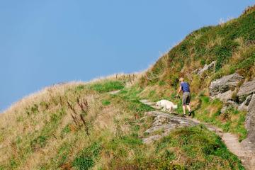 3-Yellow Cottage_IK2_5342.jpg