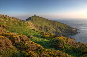baz-richardson-flickr-rame-head.jpg