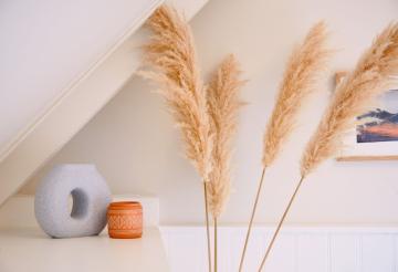 Pampas grass and ornaments on a shelf.