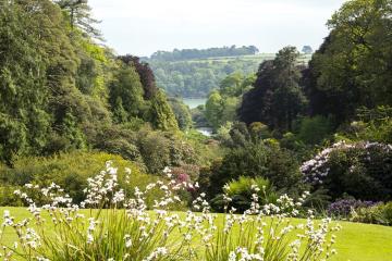 gardens-trebah-new-2.jpg