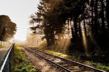 train-sunday-lunch.jpg
