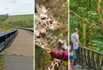 Exeter Cathedral, Tarka Trail, Paignton Zoo (2).png