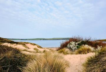 Sand dunes in the foreground and blue sky and ocean in the background.