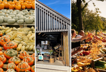 The Newt Farm Shop.png