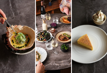 The Tartan Fox by John Hersey (2).png