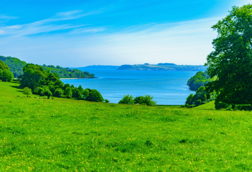 Trelissick Gardens, Feock