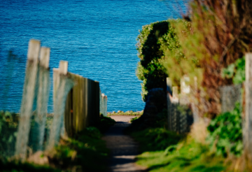 Polzeath (2).png