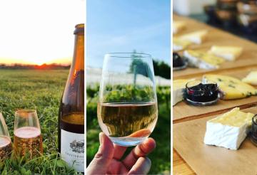 Trevibban Mill (2).jpg