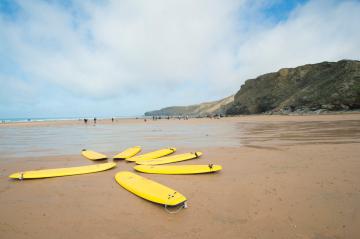 dog-friendly-beaches (1).jpg