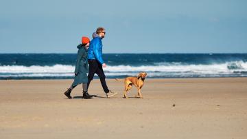 Two people wrapped up in winter coats walking their dog along a quiet beach.