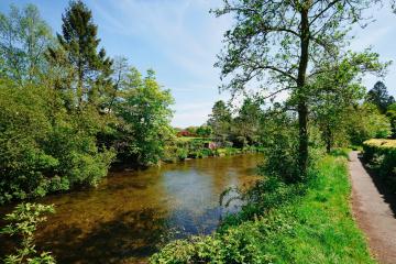 eight-reasons-south-west-2020 (2).jpg