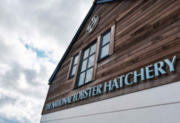 National Lobster Hatchery in Padstow