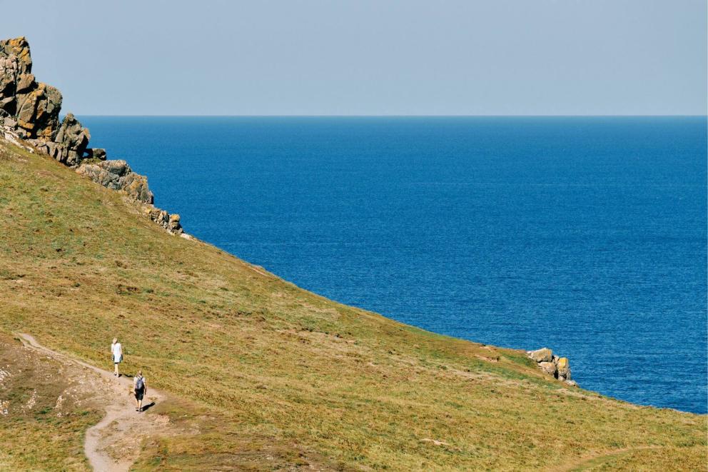 Owls-left-right-concierge (1).jpg