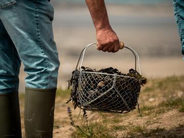 foraging-2.jpg