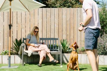 dog-friendly-new-2022.jpg
