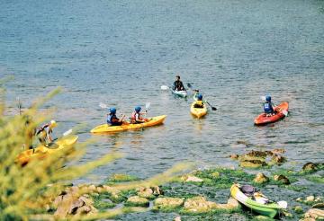 family-friendly-activities-in-cornwall-this-autumn (5).jpg