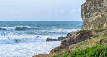 Gwelefan-Porthtowan (22).jpg