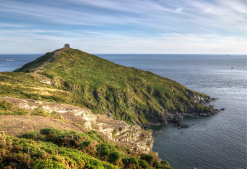 rame head - credit.png