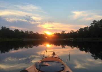 exmoor-somerset-digital-detox (3).jpg