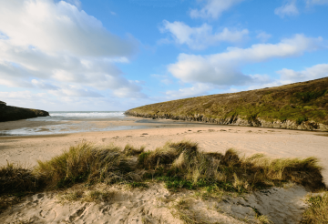 Porthcothan.png