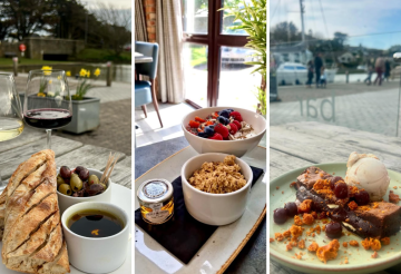 Olive-Tree-2 (1).png