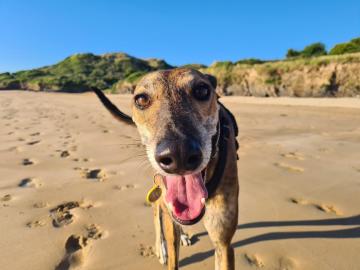 9. Loki - use for Daymer Bay.jpg