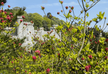 Carlyon-Bay-Blog-Post (7).png