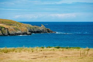 blow-away-cobwebs-walks (6).jpg