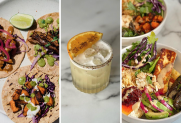 harbour view house (2).png