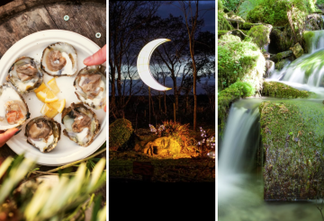 why-october-is-the-best-month-to-visit-cornwall (4).png