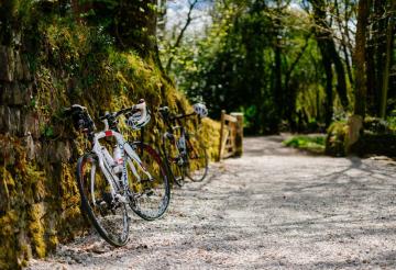 family-friendly-activities-in-cornwall-this-autumn (7).jpg