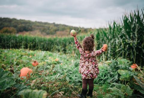 family-friendly-activities-in-cornwall-this-autumn (6).jpg