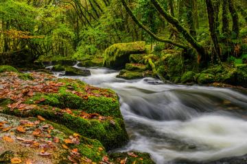 secret-cornwall-4-luke-gee.jpg
