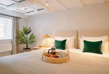 Double room with green cushions, faux palm tree and a breakfast tray with coffee and croissants on the bed.