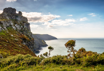4. Valley of Rocks woodland walk - James Johnstone.png