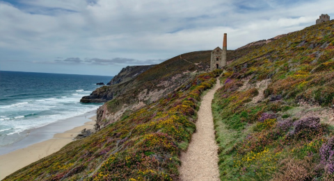 Where to eat St Agnes (1).png