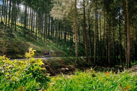 perfect-stays-blog-post- walk-cycle-and-lunch-your-way-around-Cornwall.jpg