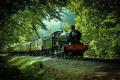 south-devon-railway.jpg