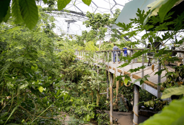 Carlyon-Bay-Blog-Post (6).png