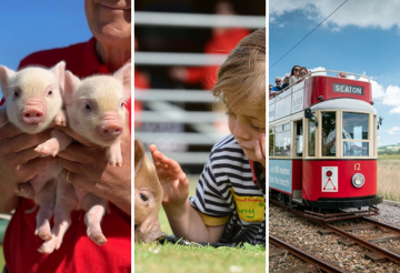 Pennywell, Seaton Tramway, National Marine Aquarium.png