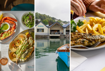rockfish-salcombe-1.png
