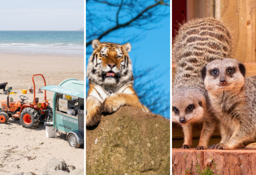 Saltram, Bigbury, Dartmoor Zoo (2).png