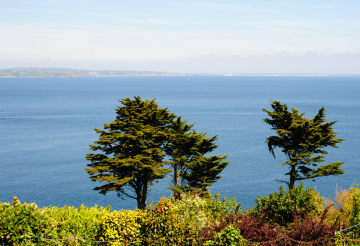 mousehole to newlyn.png