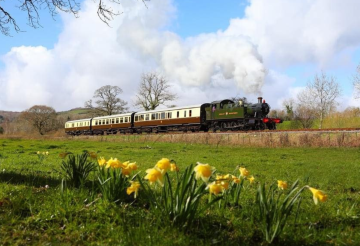 South Devon Railway.png